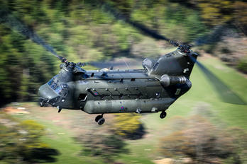 ZD575 - Royal Air Force Boeing Chinook HC.2