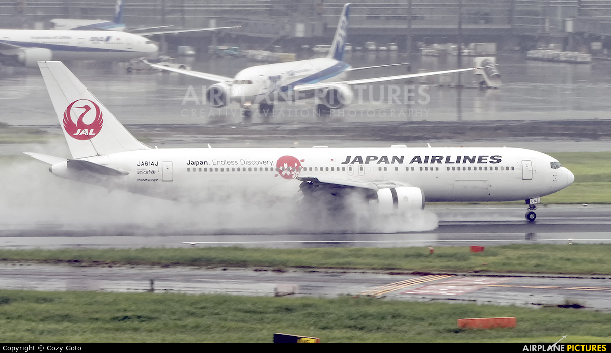JAL - Japan Airlines JA614J aircraft at Tokyo - Haneda Intl