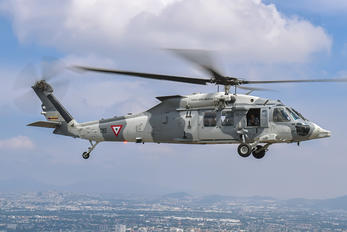 1065 - Mexico - Air Force Sikorsky UH-60M Black Hawk
