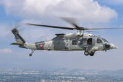 1065 - Mexico - Air Force Sikorsky UH-60M Black Hawk aircraft