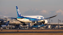 ANA - All Nippon Airways JA806A image