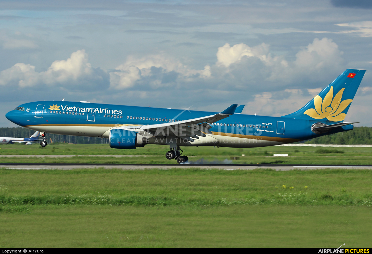 Vietnam Airlines VN-A376 aircraft at Moscow - Domodedovo