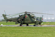 Poland - Army 738 image