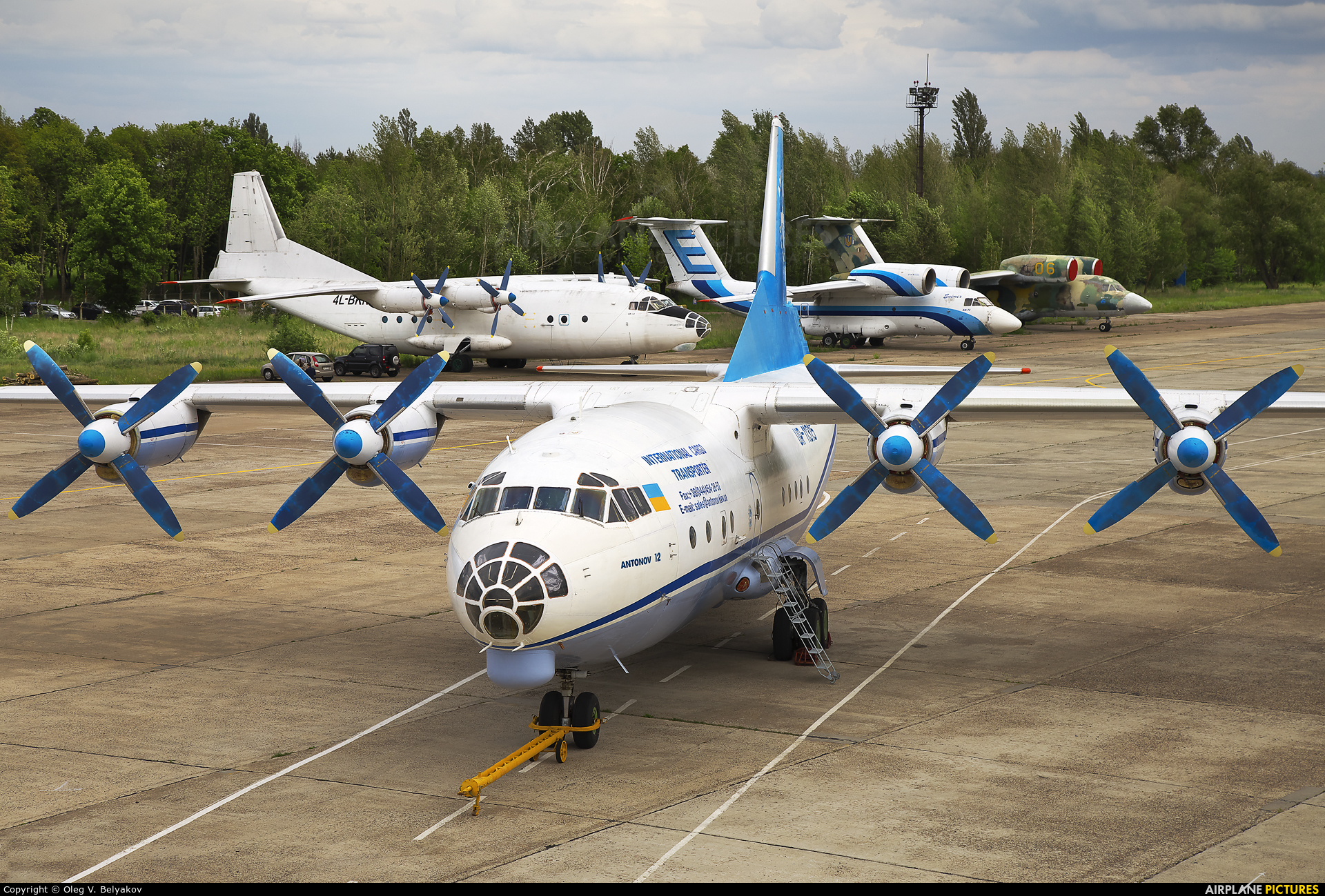 Antonov Airlines /  Design Bureau UR-11315 aircraft at Kyiv - Gostomel