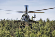 209 - Poland - Army Mil Mi-24D aircraft