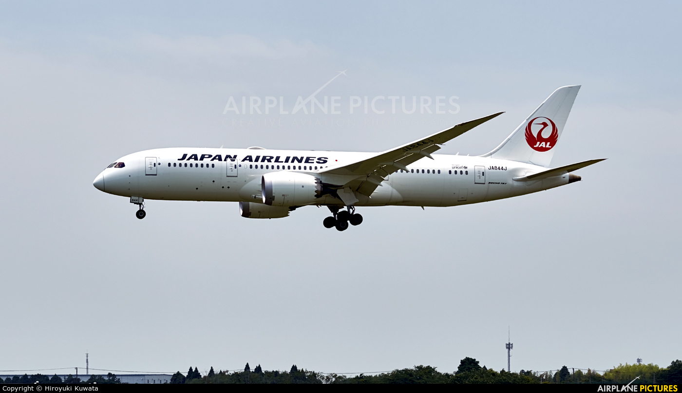 JA844J - JAL - Japan Airlines Boeing 787-8 Dreamliner at Tokyo - Narita