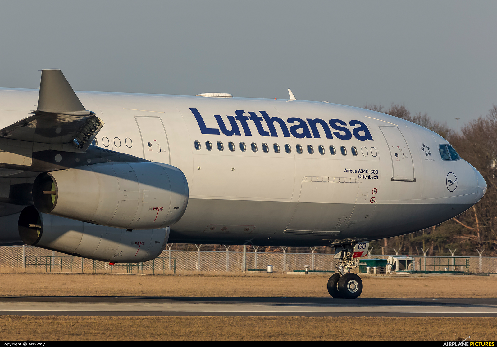 Lufthansa D-AIGO aircraft at Frankfurt