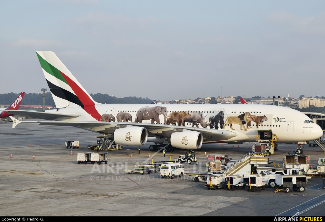 Emirates Airlines A6-EOM aircraft at São Paulo - Guarulhos