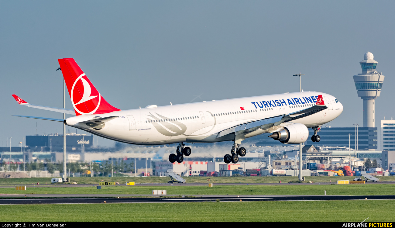 Turkish Airlines TC-LNE aircraft at Amsterdam - Schiphol
