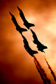 - - USA - Air Force : Thunderbirds General Dynamics F-16C Fighting Falcon aircraft