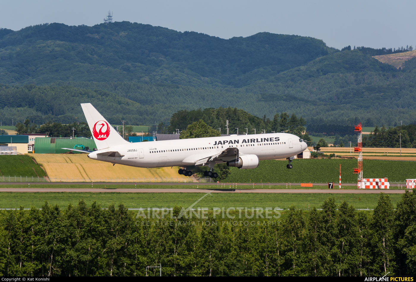 JAL - Japan Airlines JA658J aircraft at Memanbetsu