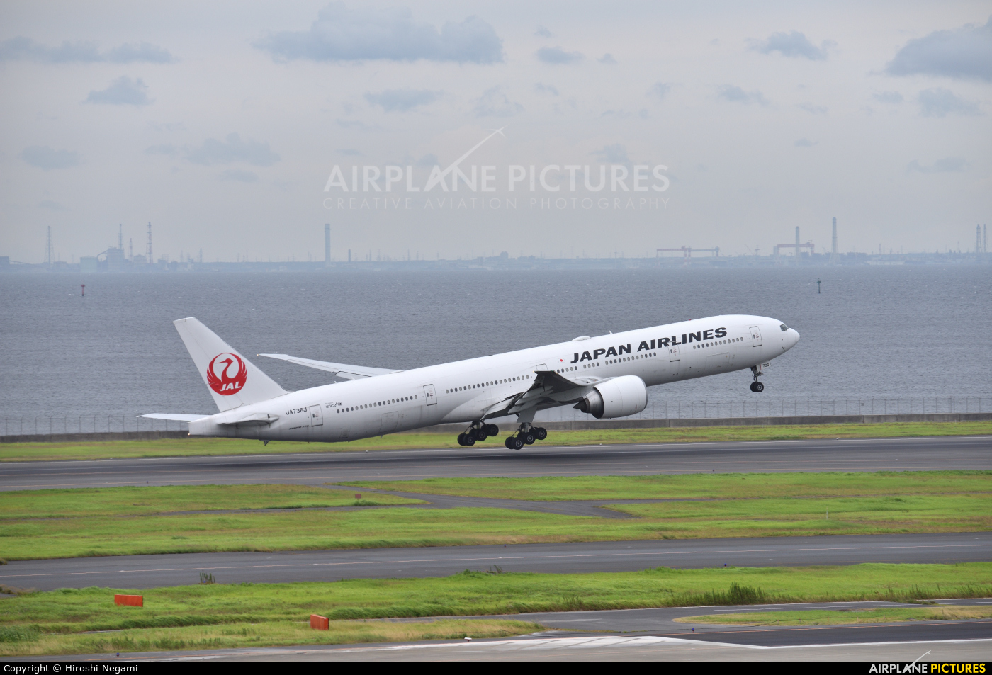 JAL - Japan Airlines JA738J aircraft at Tokyo - Haneda Intl