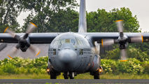 G-988 - Netherlands - Air Force Lockheed C-130H Hercules aircraft
