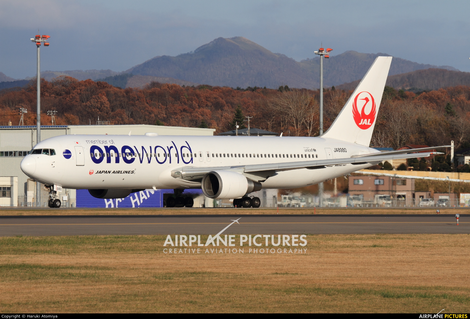 JAL - Japan Airlines JA8980 aircraft at Hakodate