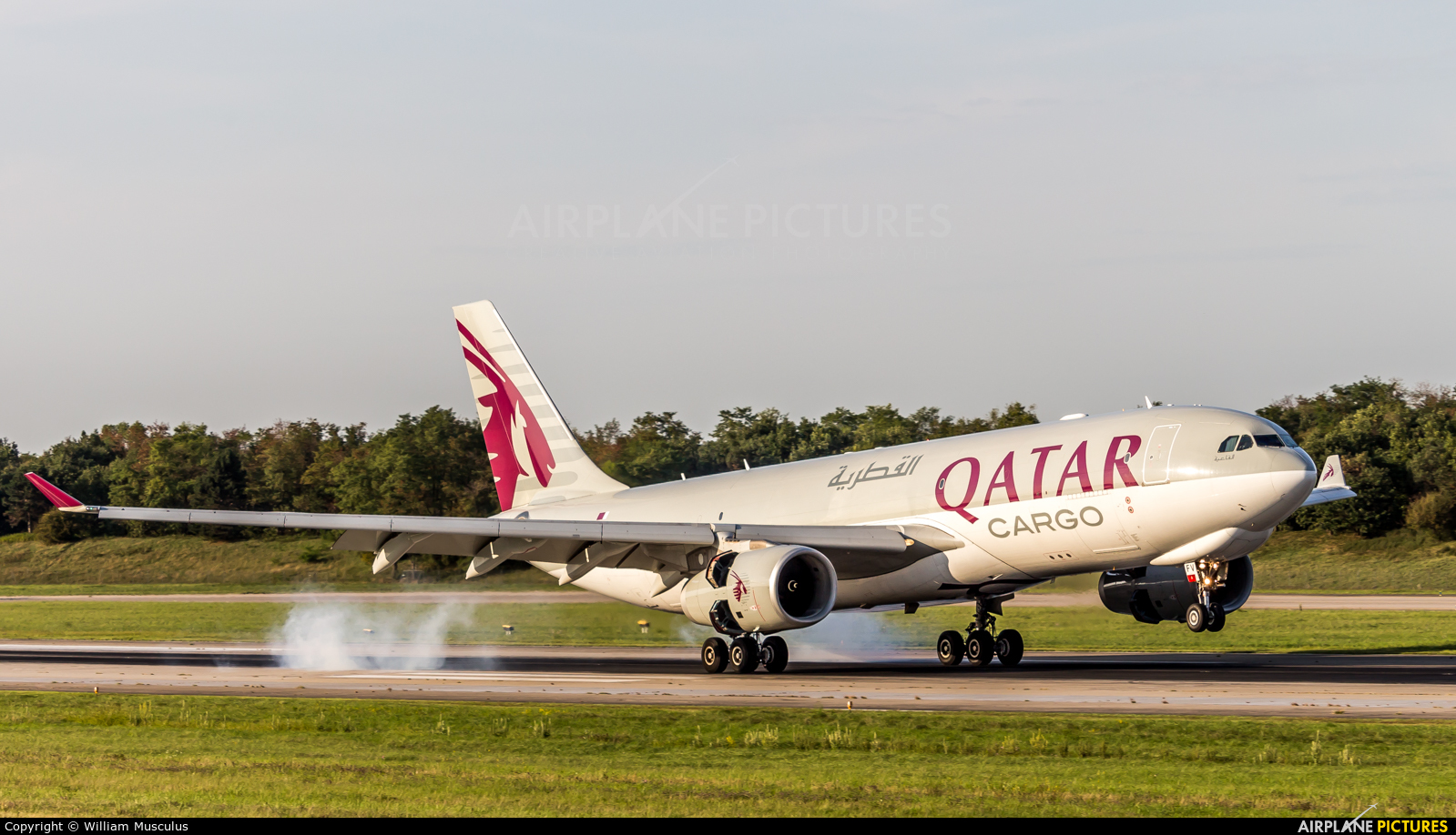 Qatar Airways Cargo A7-AFV aircraft at Basel - Mulhouse- Euro