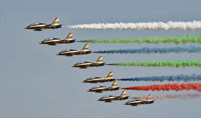- - United Arab Emirates - Air Force "Al Fursan" Aermacchi MB-339A