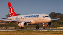 TC-JLY - Turkish Airlines Airbus A319 aircraft