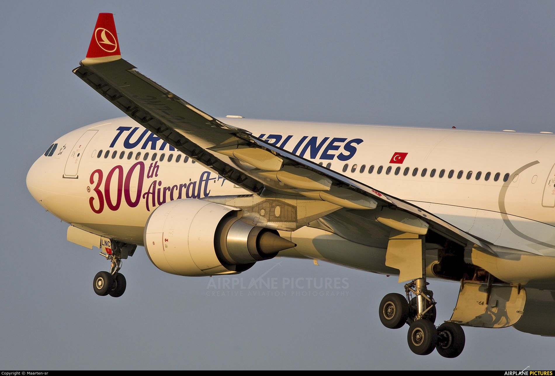 Turkish Airlines TC-LNC aircraft at Amsterdam - Schiphol
