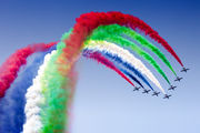 United Arab Emirates - Air Force "Al Fursan" - image