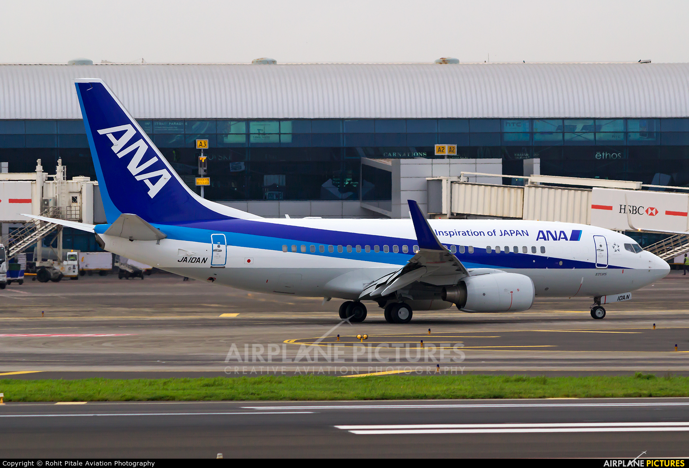 ANA - All Nippon Airways JA10AN aircraft at Mumbai - Chhatrapati Shivaji Intl
