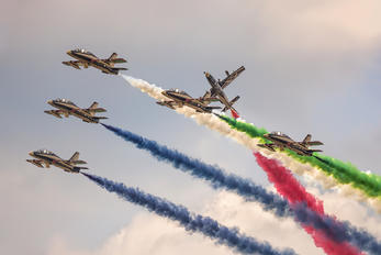 440 - United Arab Emirates - Air Force &quot;Al Fursan&quo Aermacchi MB-339NAT