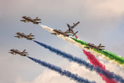 United Arab Emirates - Air Force &quot;Al Fursan&quo 440 image