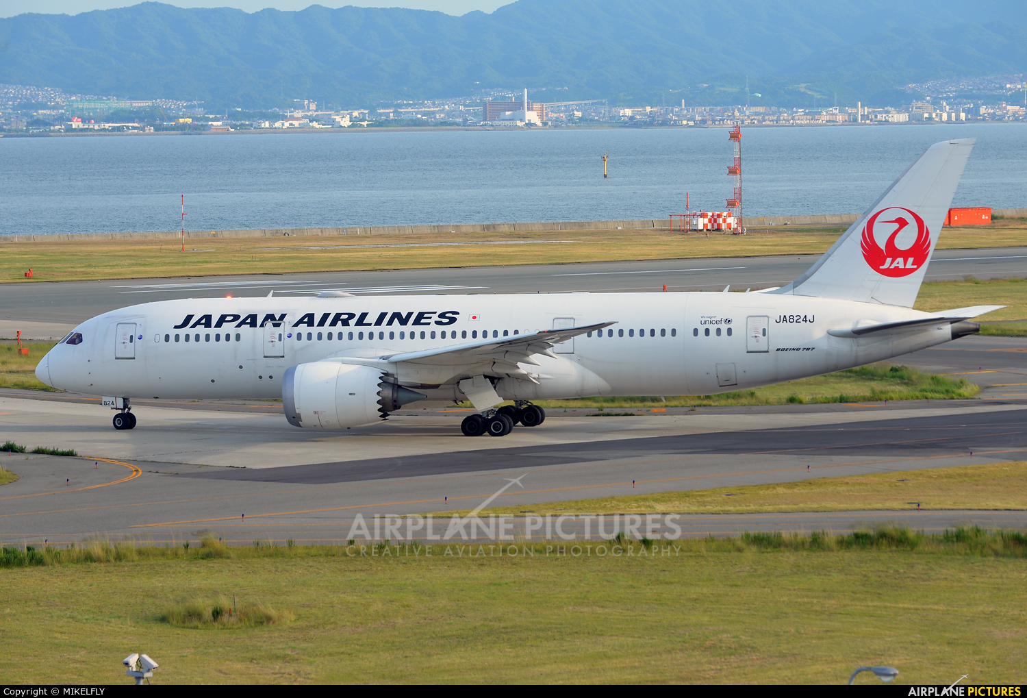 JAL - Japan Airlines JA824J aircraft at Kansai Intl