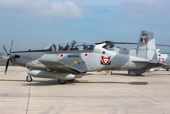 ANX-1317 - Mexico - Navy Hawker Beechcraft T-6C Texan II