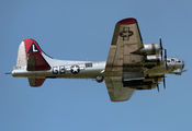 N3193G - Yankee Air Force Boeing B-17G Flying Fortress aircraft
