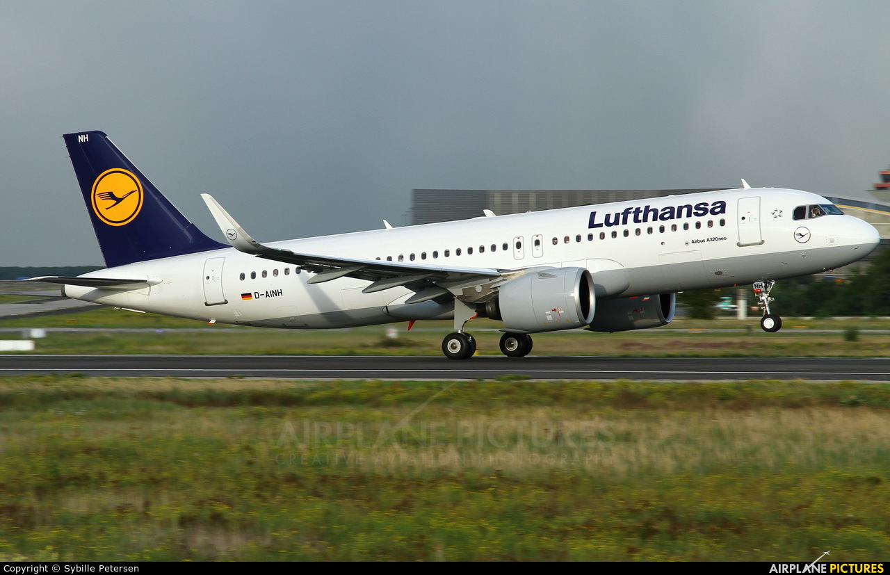 Lufthansa D-AINH aircraft at Frankfurt
