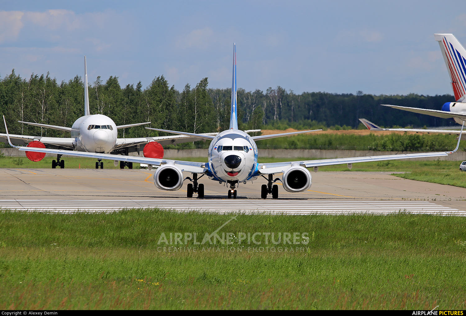 NordStar Airlines VQ-BNG aircraft at Moscow - Domodedovo