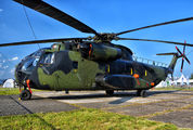 84 + 87 - Germany - Army Sikorsky CH-53G Sea Stallion aircraft