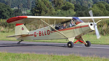 G-BLLO - Private Piper L-18 Super Cub aircraft