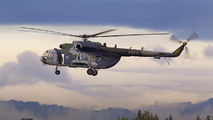 9873 - Czech - Air Force Mil Mi-171 aircraft