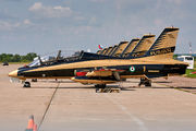 1 - United Arab Emirates - Air Force "Al Fursan" Aermacchi MB-339NAT aircraft