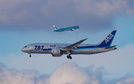 JA812A - ANA - All Nippon Airways Boeing 787-8 Dreamliner aircraft