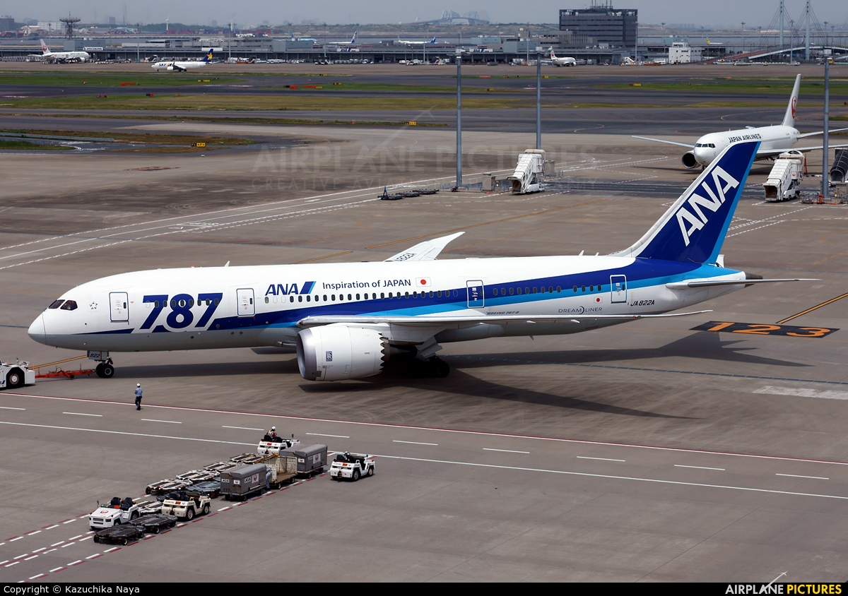 ANA - All Nippon Airways JA822A aircraft at Tokyo - Haneda Intl