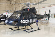 Mexico - Police PF-303 image
