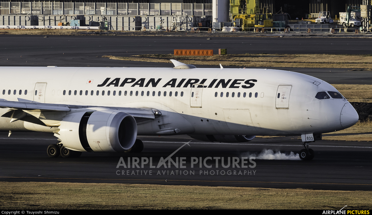 JAL - Japan Airlines JA833J aircraft at Tokyo - Haneda Intl