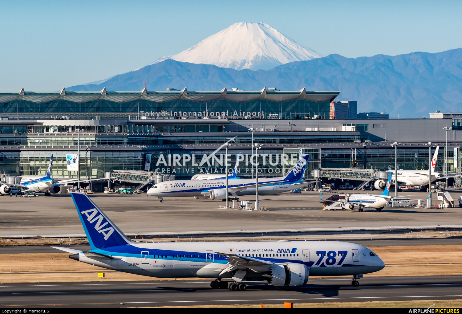 ANA - All Nippon Airways JA821A aircraft at Tokyo - Haneda Intl
