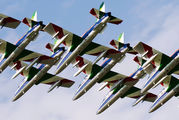 Italy - Air Force "Frecce Tricolori" 3 image