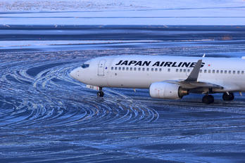 JA313J - JAL - Japan Airlines Boeing 737-800