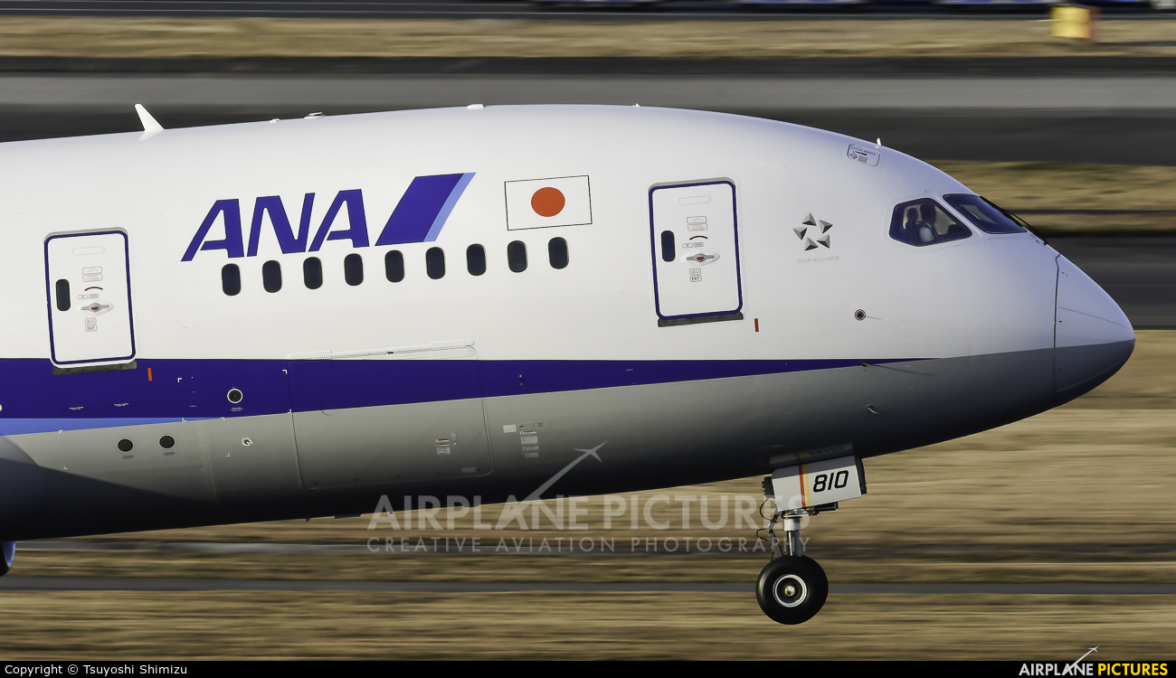 ANA - All Nippon Airways JA810A aircraft at Tokyo - Haneda Intl