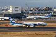 ANA - All Nippon Airways JA818A image