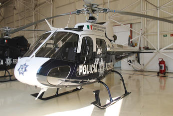 PF-318 - Mexico - Police Eurocopter AS350 Ecureuil / Squirrel