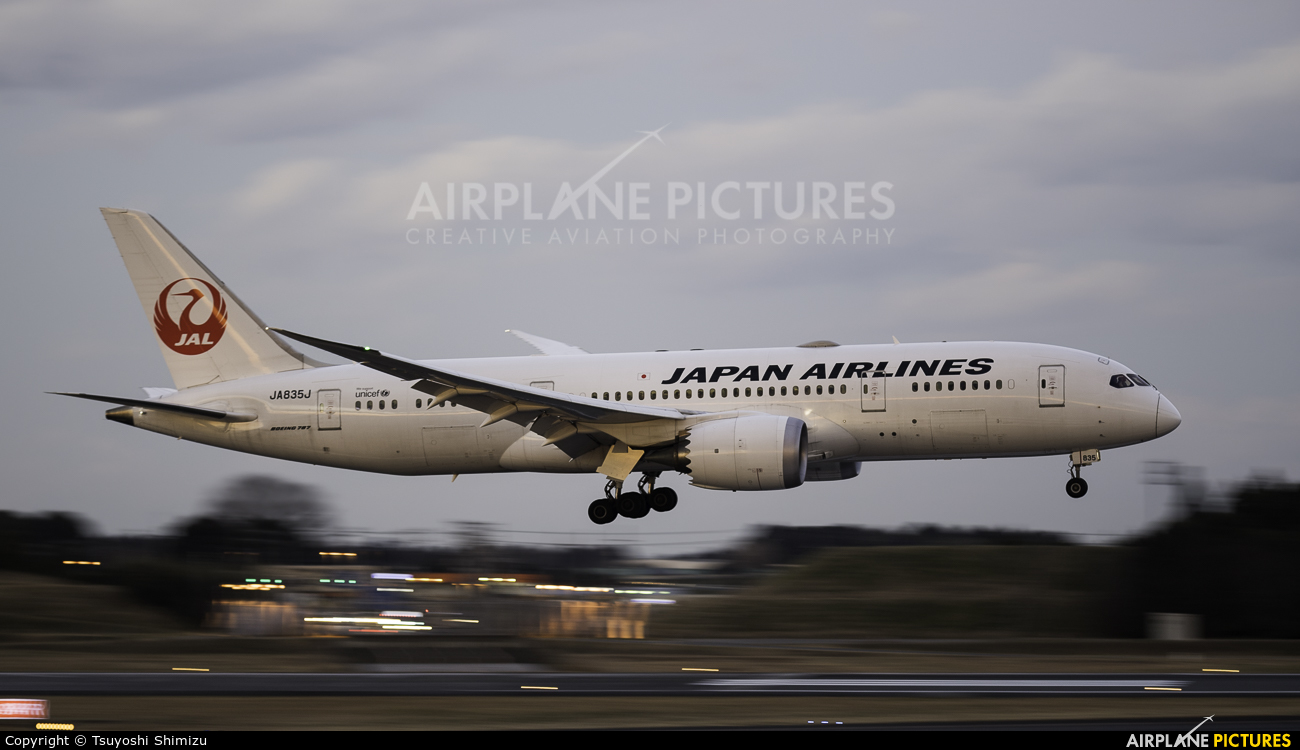 JAL - Japan Airlines JA835J aircraft at Tokyo - Narita Intl