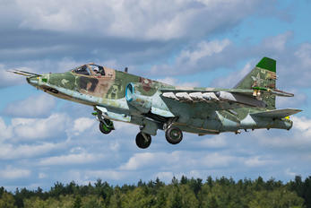 - - Russia - Air Force Sukhoi Su-25SM