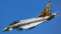 14-31 - Spain - Air Force Eurofighter Typhoon aircraft