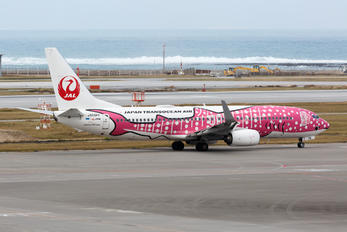 JA06RK - JAL - Japan Transocean Air Boeing 737-800