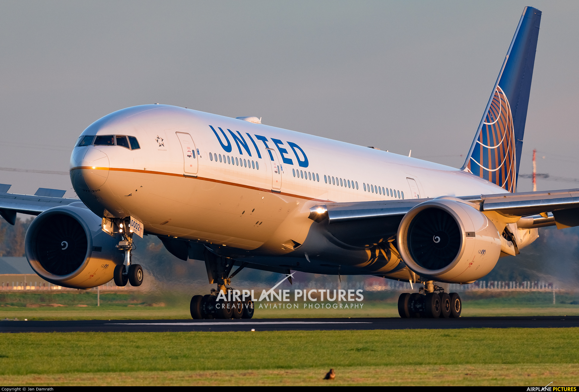 United Airlines N78002 aircraft at Amsterdam - Schiphol